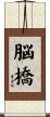 脳橋 Scroll