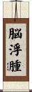 脳浮腫 Scroll