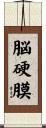 脳硬膜 Scroll