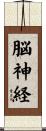 脳神経 Scroll