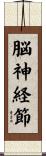 脳神経節 Scroll