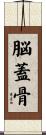 脳蓋骨 Scroll