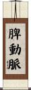 脾動脈 Scroll