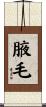 腋毛 Scroll