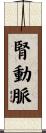 腎動脈 Scroll
