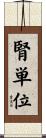 腎単位 Scroll