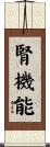 腎機能 Scroll