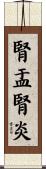 腎盂腎炎 Scroll
