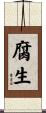 腐生 Scroll