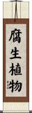 腐生植物 Scroll