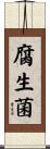 腐生菌 Scroll