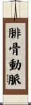 腓骨動脈 Scroll