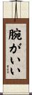 腕がいい Scroll