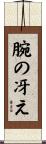 腕の冴え Scroll