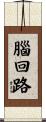 腦回路 Scroll