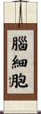 腦細胞 Scroll