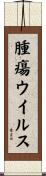 腫瘍ウイルス Scroll