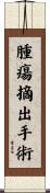 腫瘍摘出手術 Scroll