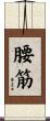 腰筋 Scroll