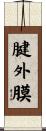 腱外膜 Scroll