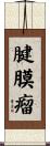 腱膜瘤 Scroll