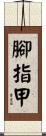腳指甲 Scroll