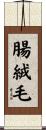 腸絨毛 Scroll