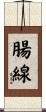腸線 Scroll
