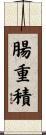 腸重積 Scroll