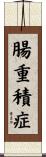 腸重積症 Scroll
