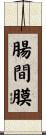 腸間膜 Scroll