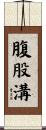 腹股溝 Scroll