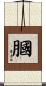 膕 Scroll