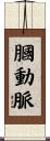 膕動脈 Scroll