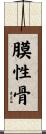 膜性骨 Scroll