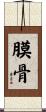 膜骨 Scroll