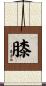 膝 Scroll