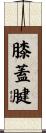膝蓋腱 Scroll