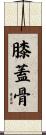 膝蓋骨 Scroll