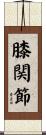 膝関節 Scroll
