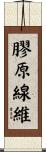 膠原線維 Scroll