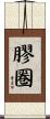 膠圈 Scroll