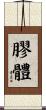 膠體 Scroll
