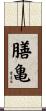 膳亀 Scroll
