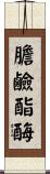 膽鹼酯酶 Scroll