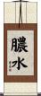 膿水 Scroll