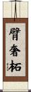 臂奢柘 Scroll