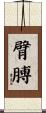 臂膊 Scroll