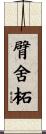 臂舍柘 Scroll
