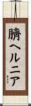 臍ヘルニア Scroll